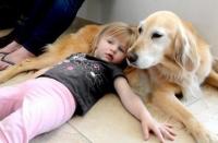 Foto Pet Therapy: quando è il Cane a guarire l'Uomo.
