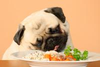Foto Il Cane può mangiare spinaci?
