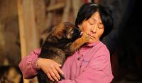 Foto Donna percorre 2550 km per salvare i cani da morte certa