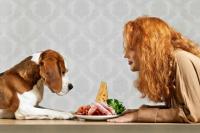 Foto Bisogni nutrizionali del cane: Carboidrati