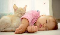 Foto Gatti e neonati in casa