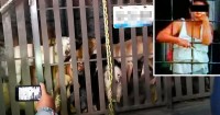 Foto Shock in Messico: donna ruba cani per ucciderli e venderne la carne (Video)