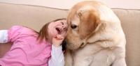 Foto Razze di cani per bambini autistici