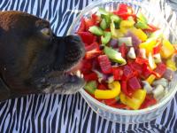 Foto Il cane può mangiare peperoni?