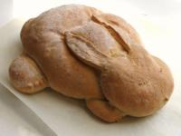 Foto Il Coniglio può mangiare pane?