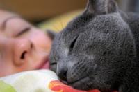 Foto Perchè il Gatto dorme con me?